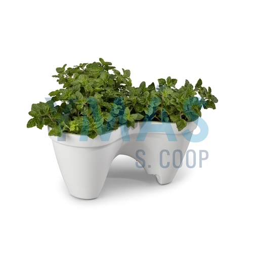 MACETA TRIPLE IVY SISTEMA RIEGO