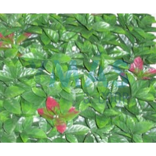 JARDIN VERTICAL CAMELIA 50X50CM